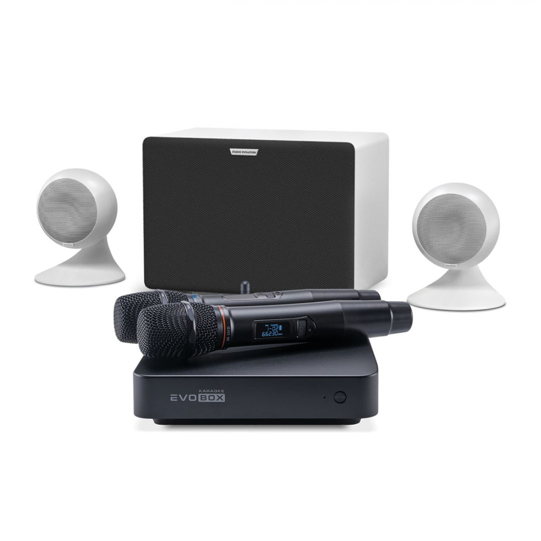караоке-комплект EVOBOX Classic + EvoSound Sphere 2.1 в Свердловской области