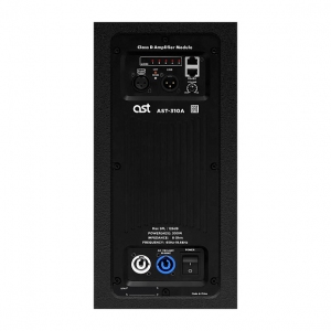 Активная акустическая система AST-310A в Свердловской области