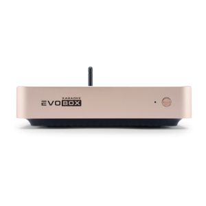 EVOBOX Classic караоке-система для дома в Свердловской области